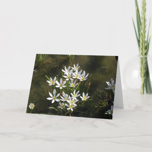 Carte Joyeuse Fête des Mères ! (Devant)