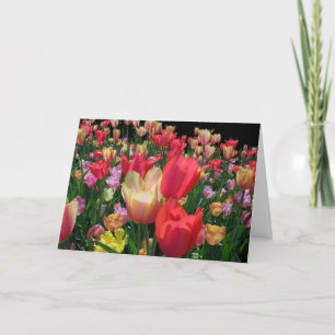 Carte Joyeuse fête des mères avec des tulipes