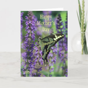 Carte Joyeuse fête des mères ~ Bella Butterfly Card