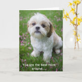 Carte Joyeuse fête des mères d'Edie le tzu chiite (Fleur jaune)