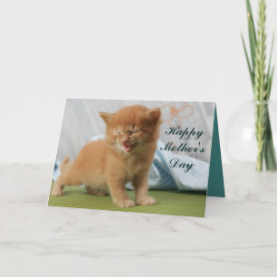 Carte Joyeuse Fête des Mères Kitten