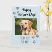 Carte Joyeuse fête des mères Photo Chien Chat Animal de (Fleur jaune)