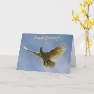 Carte Joyeuse fête des oiseaux Anniversaire Cockatoo Vol