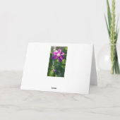 Carte Joyeuse Grand-mère d'anniversaire Fleurs blanches  (Dos)