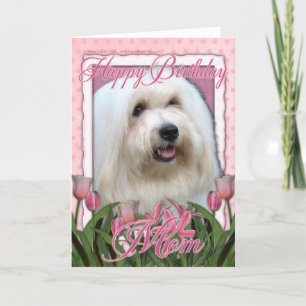 Carte Joyeuse maman d'anniversaire - Coton de Tulear