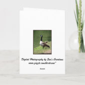 Carte Joyeuse Oie d'anniversaire (Dos)