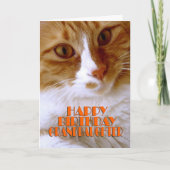 Carte Joyeuse petite-fille d'anniversaire - Chat doux (Devant)