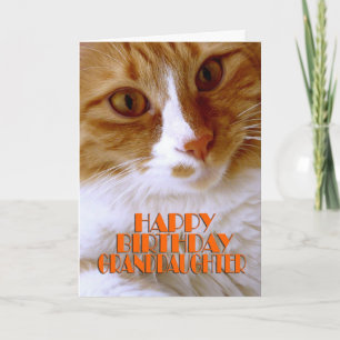 Carte Joyeuse petite-fille d'anniversaire - Chat doux