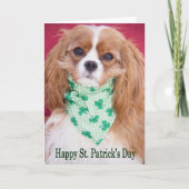 Carte Joyeuse Saint-Patrick Cavalier King Charles Pup (Devant)
