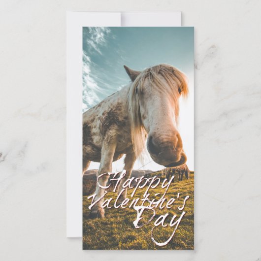 Carte Joyeuse Saint-Valentin avec cheval qui regarde (Devant)