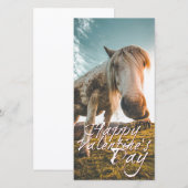 Carte Joyeuse Saint-Valentin avec cheval qui regarde (Devant / Derrière)