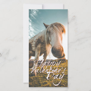 Carte Joyeuse Saint-Valentin avec cheval qui regarde