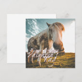 Carte Joyeuse Saint-Valentin avec cheval qui regarde (Devant / Derrière)