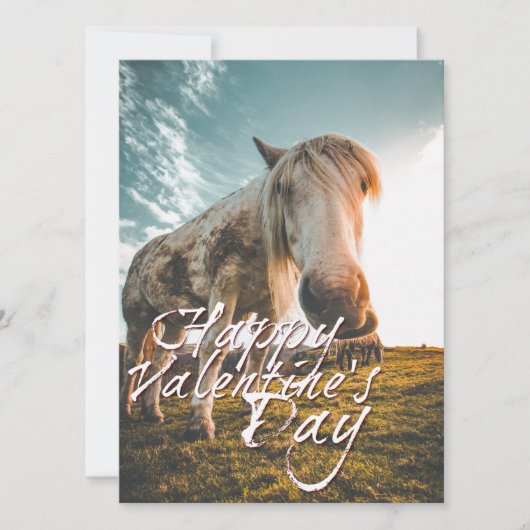 Carte Joyeuse Saint-Valentin avec cheval regardant (Devant)