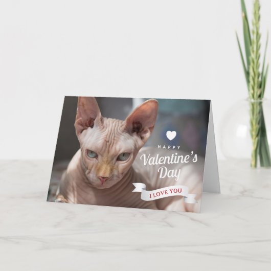 Carte Joyeuse Saint-Valentin | Chat sphynx sans poils (Devant)