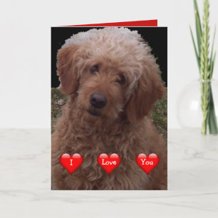 Carte Joyeuse Saint-Valentin - Chien le plus mignon du m
