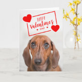 Carte Joyeuse Saint-Valentin | Douce Jeune Chienne Dachs (Fleur jaune)