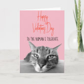 Carte Joyeuse Saint-Valentin du chat à l'humain Drôle (Devant)