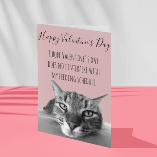 Carte Joyeuse Saint-Valentin du chat à l'humain Humour
