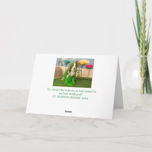 Carte Joyeuse St Patrick (Dos)