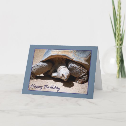 Carte Joyeuse Tortue d'anniversaire (Devant)
