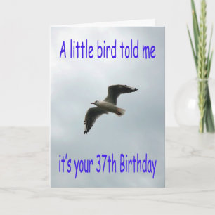 Carte Joyeux 37e anniversaire Volant oiseau de mouette