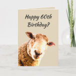 Carte Joyeux 60e anniversaire Funny Sheep Humour animal<br><div class="desc">Joyeux 60e anniversaire Soixante Funny Sheep Animal Humour qui vieillit est bullbrebis</div>