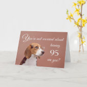 Carte Joyeux 95ème anniversaire, beagle inquiet (Fleur jaune)
