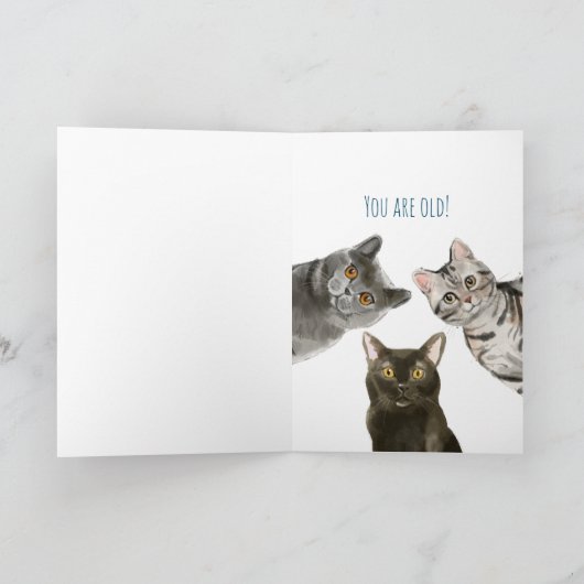 Carte Joyeux Amoureux des chats d'anniversaire | Texte m (Intérieur)