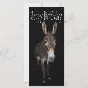 Carte Joyeux âne d'anniversaire