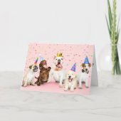 Carte Joyeux Animaux de fête d'anniversaire (Devant)