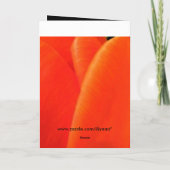 Carte Joyeux anniversaire (Dos)