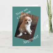 Carte Joyeux Anniversaire (Devant)