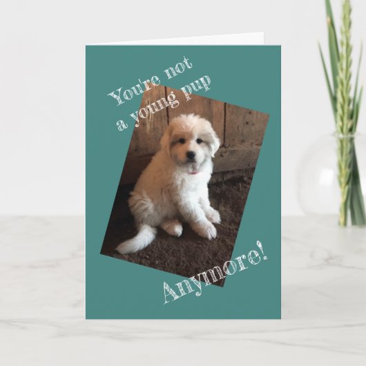 Carte Joyeux Anniversaire (Devant)