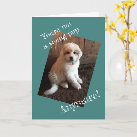 Carte Joyeux Anniversaire (Fleur jaune)