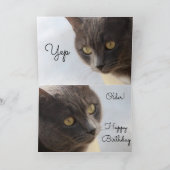 Carte Joyeux Anniversaire (Intérieur)