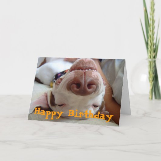 Carte Joyeux anniversaire (Devant)