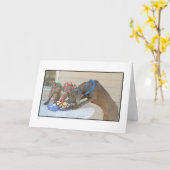 Carte Joyeux anniversaire (Fleur jaune)