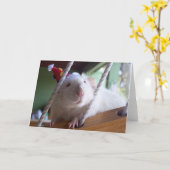 Carte Joyeux anniversaire (Fleur jaune)