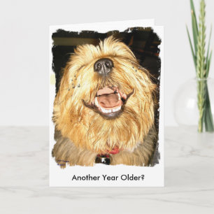 Carte Joyeux anniversaire