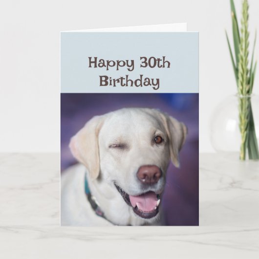 Carte Joyeux anniversaire 30e de nouveau Winking Dog Hum (Devant)