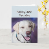 Carte Joyeux anniversaire 30e de nouveau Winking Dog Hum (Fleur jaune)