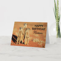 Joyeux Anniversaire | 3 Meerkats