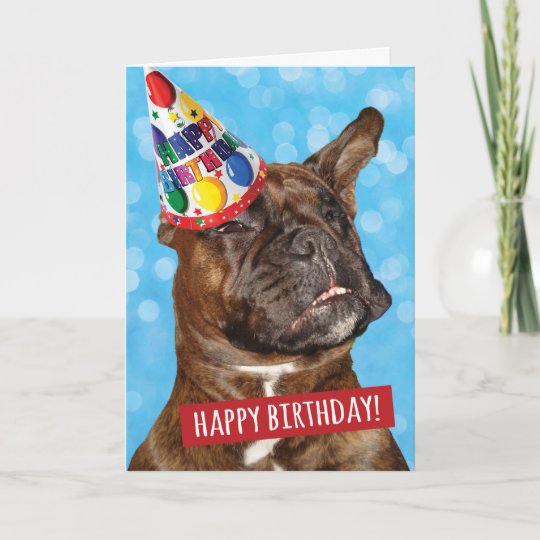 Carte Joyeux Anniversaire A La Fete Animal Boxer Chien Zazzle Be