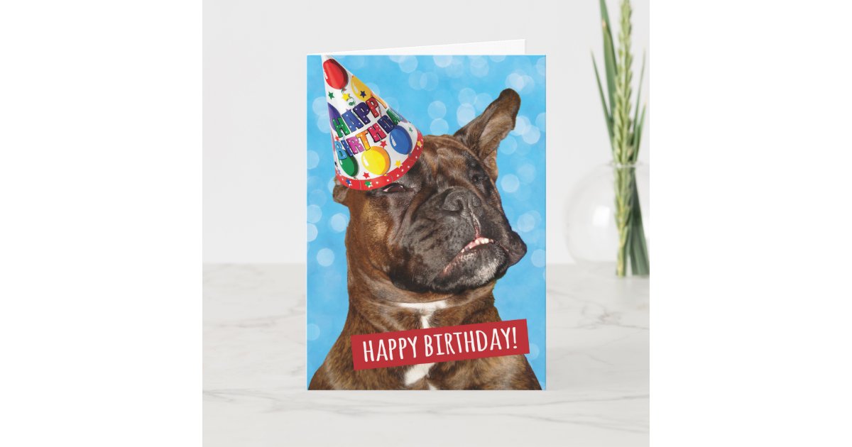 Carte Joyeux Anniversaire A La Fete Animal Boxer Chien Zazzle Be Carte Joyeux Anniversaire A La Fete Animal Boxer Chien Zazzle Be