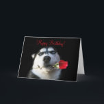 Carte Joyeux anniversaire à mon frère en droit<br><div class="desc">C'est une façon chère de dire Joyeux anniversaire à votre Frère en Droit et de lui faire savoir qu'il est votre préféré ! Un chien Husky mignon avec un rose en fait une carte irrésistible !</div>