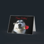 Carte Joyeux anniversaire à mon frère en droit<br><div class="desc">C'est une façon chère de dire Joyeux anniversaire à votre Frère en Droit et de lui faire savoir qu'il est votre préféré ! Un chien Husky mignon avec un rose en fait une carte irrésistible !</div>