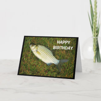 Carte Joyeux Anniversaire À Quelqu'Un Avec Une Basse Pet