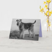 Carte Joyeux Anniversaire Airedale Terrier Chien Chien P (Fleur jaune)