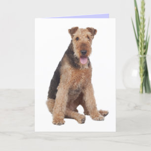 Carte Joyeux anniversaire Airedale Terrier Puppy Dog Car